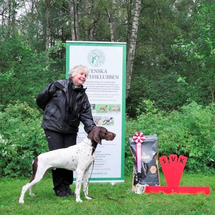 BIS Charleswood William