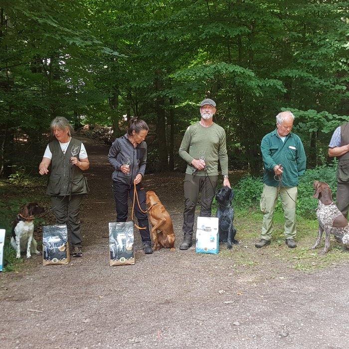 Dom som gjorde grovgörat