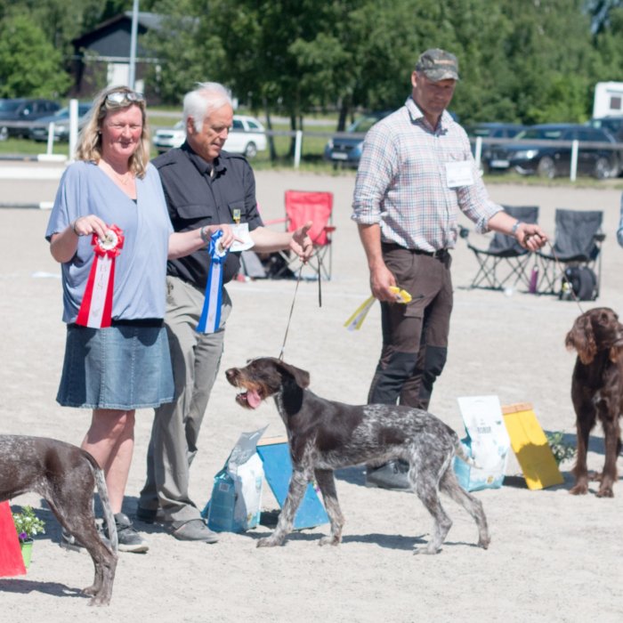 Bild från vårutställningen 2018.